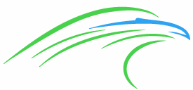 sameday courier service